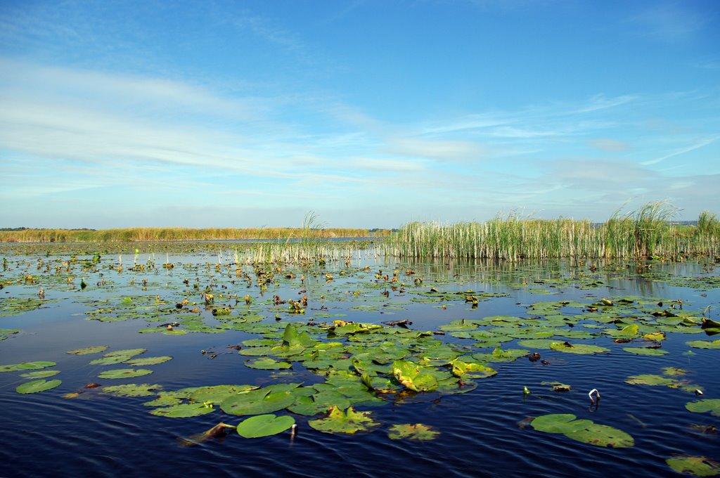 Канівське з panoramio.com - Каневское