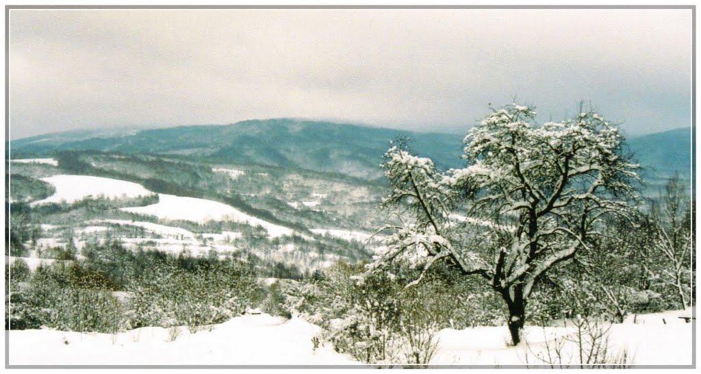 Стричава з panoramio.com - Strychava