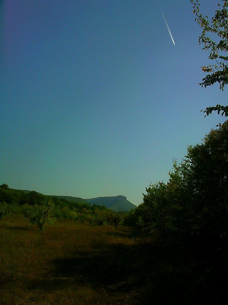 Красний Мак з panoramio.com - Красный Мак