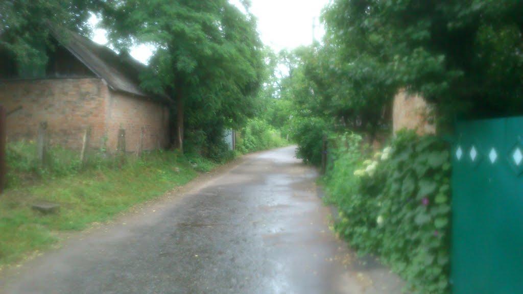 Бобриця з panoramio.com - Бобрица