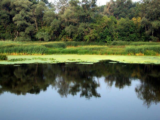 Яцьківка з panoramio.com - Яцьківка