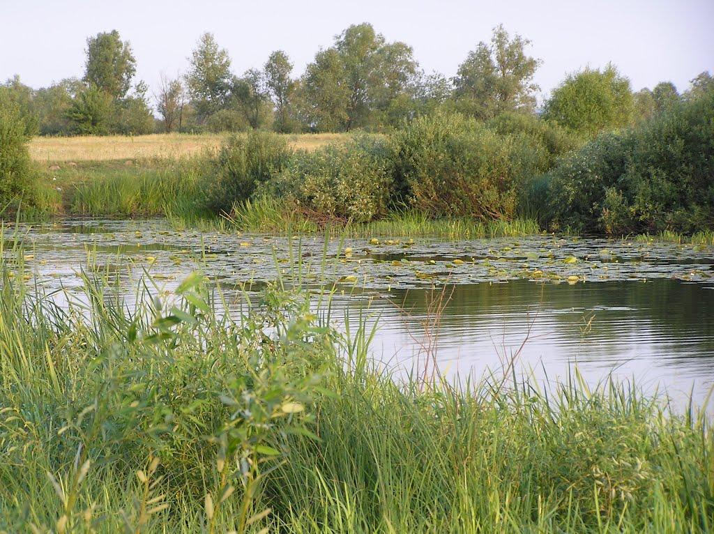 Проців з panoramio.com - Процев