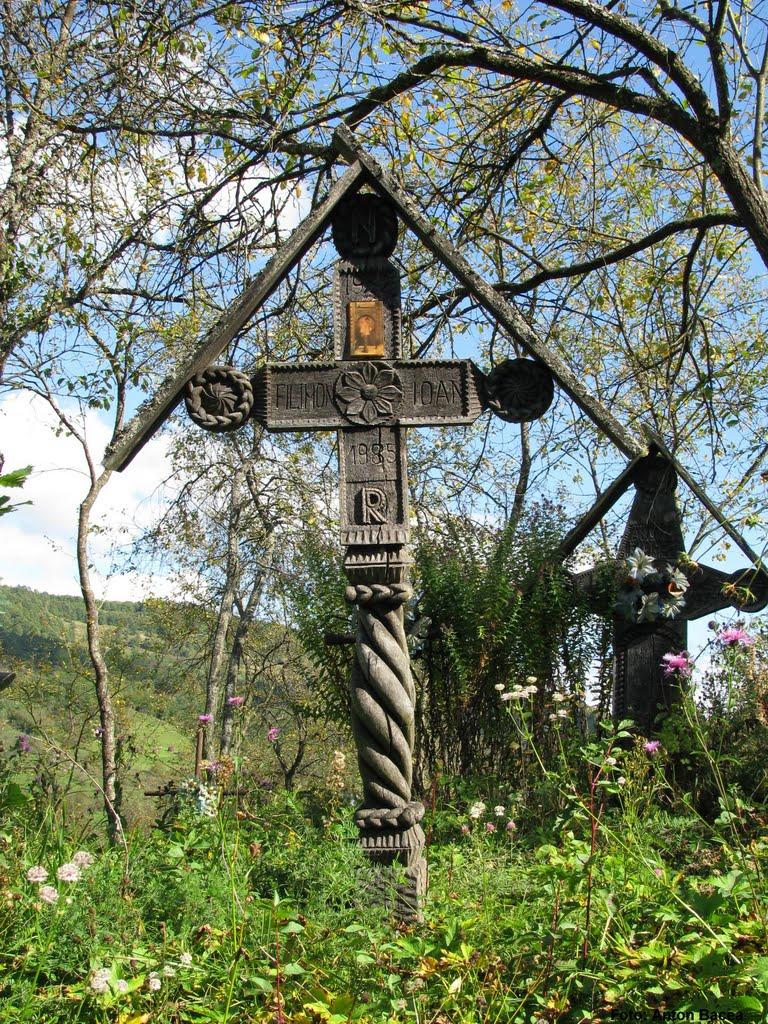 Великий Бичків з panoramio.com - Великий Бичків