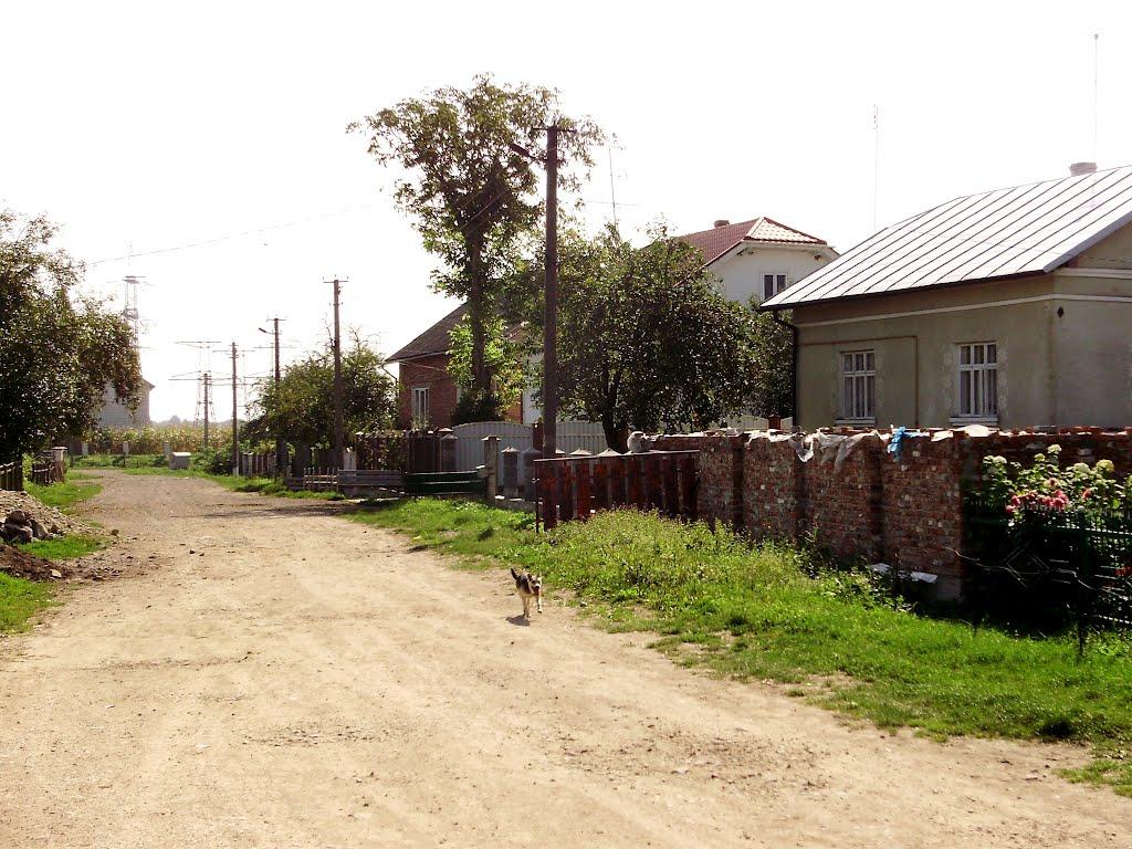 Черниця з panoramio.com - Черниця