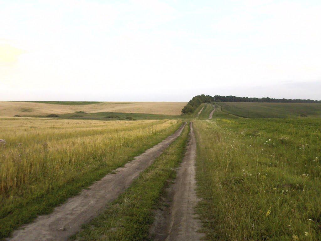 Базалія з panoramio.com - Базалія