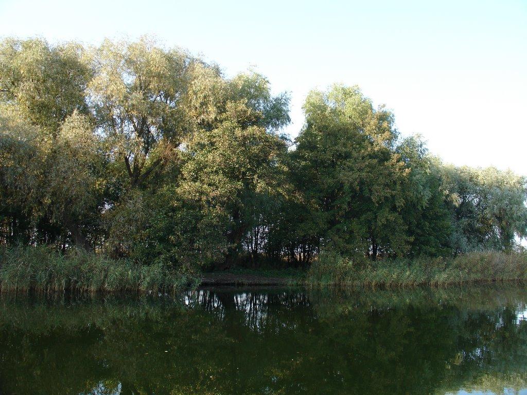 Стара Збур'ївка з panoramio.com - Стара Збур'ївка