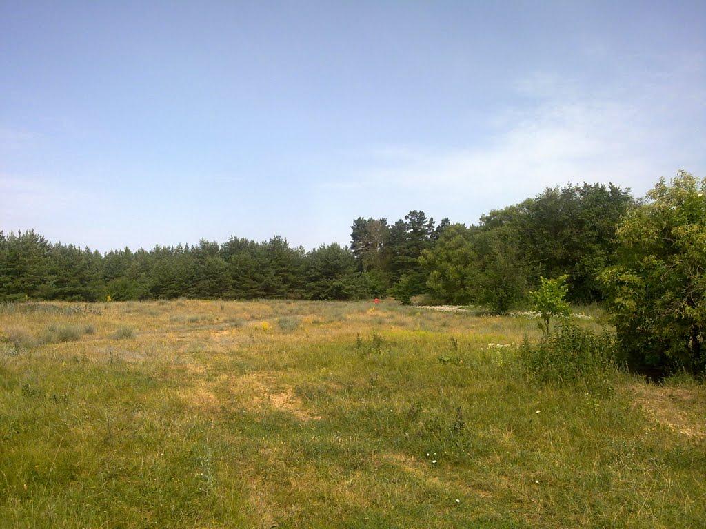 Чаплищі з panoramio.com - Чаплищі