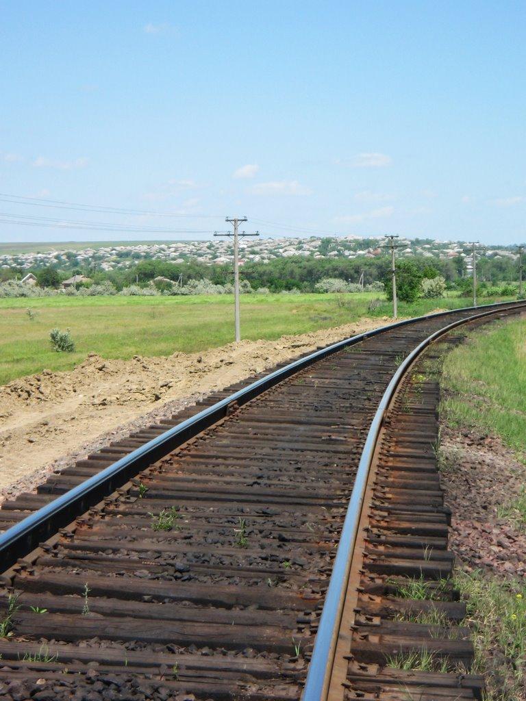 Нові Трояни з panoramio.com