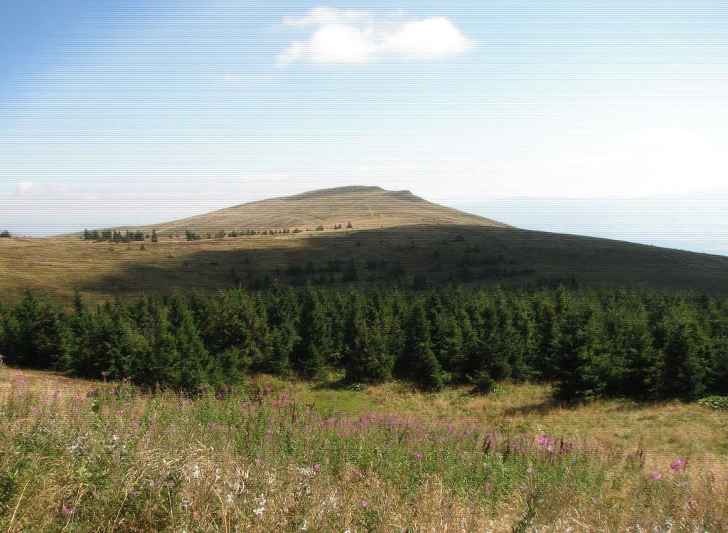 Липовець з panoramio.com - Липовец