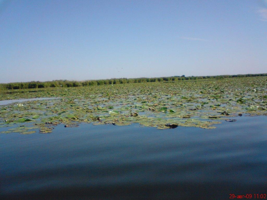 Стара Збур'ївка з panoramio.com - Стара Збур'ївка