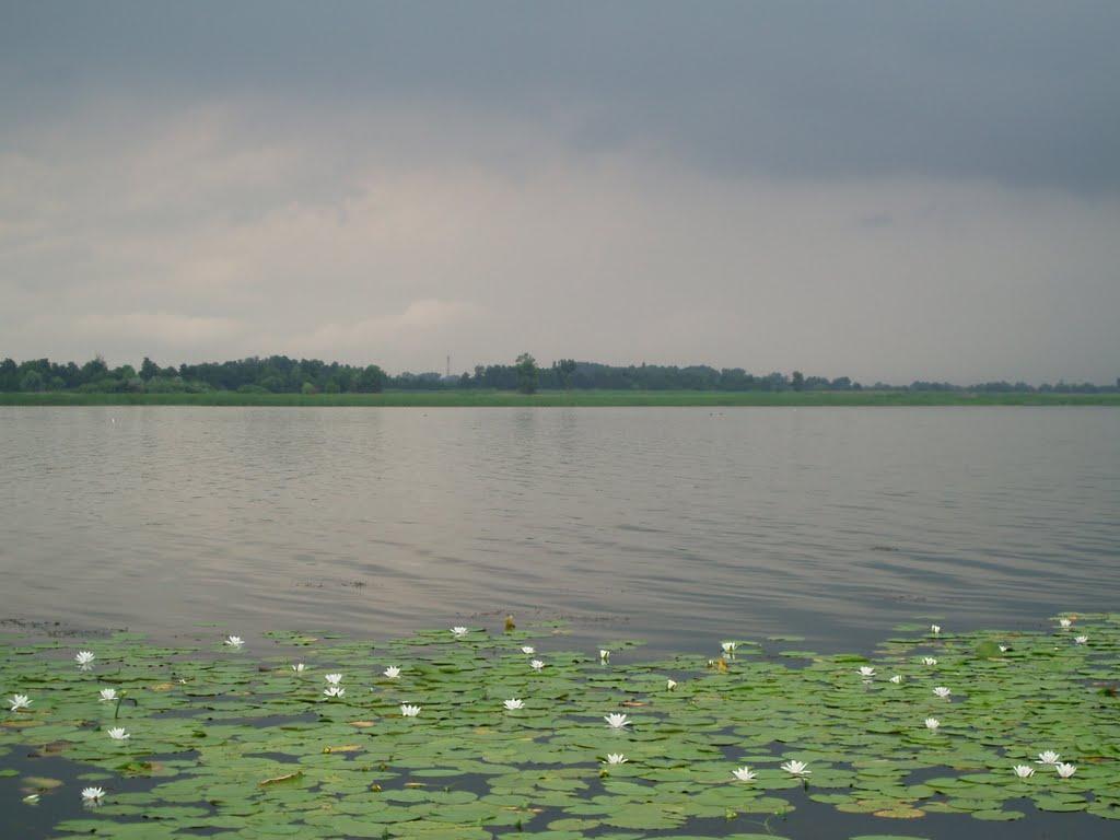 Стара Збур'ївка з panoramio.com - Стара Збур'ївка