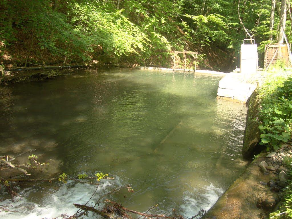 Вовчий з panoramio.com - Вовчий