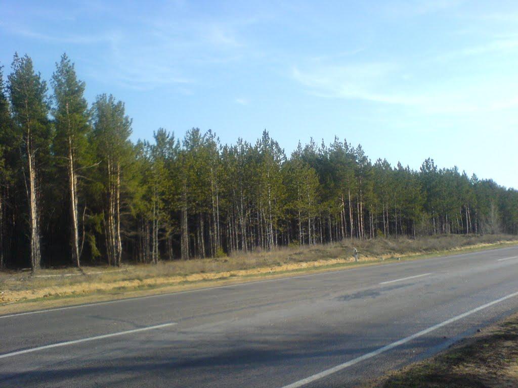 Раденськ з panoramio.com - Раденск