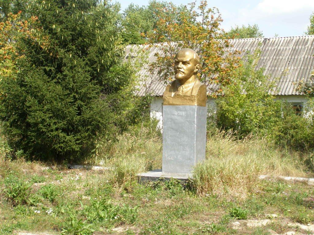 Курилівка з panoramio.com - Курилівка