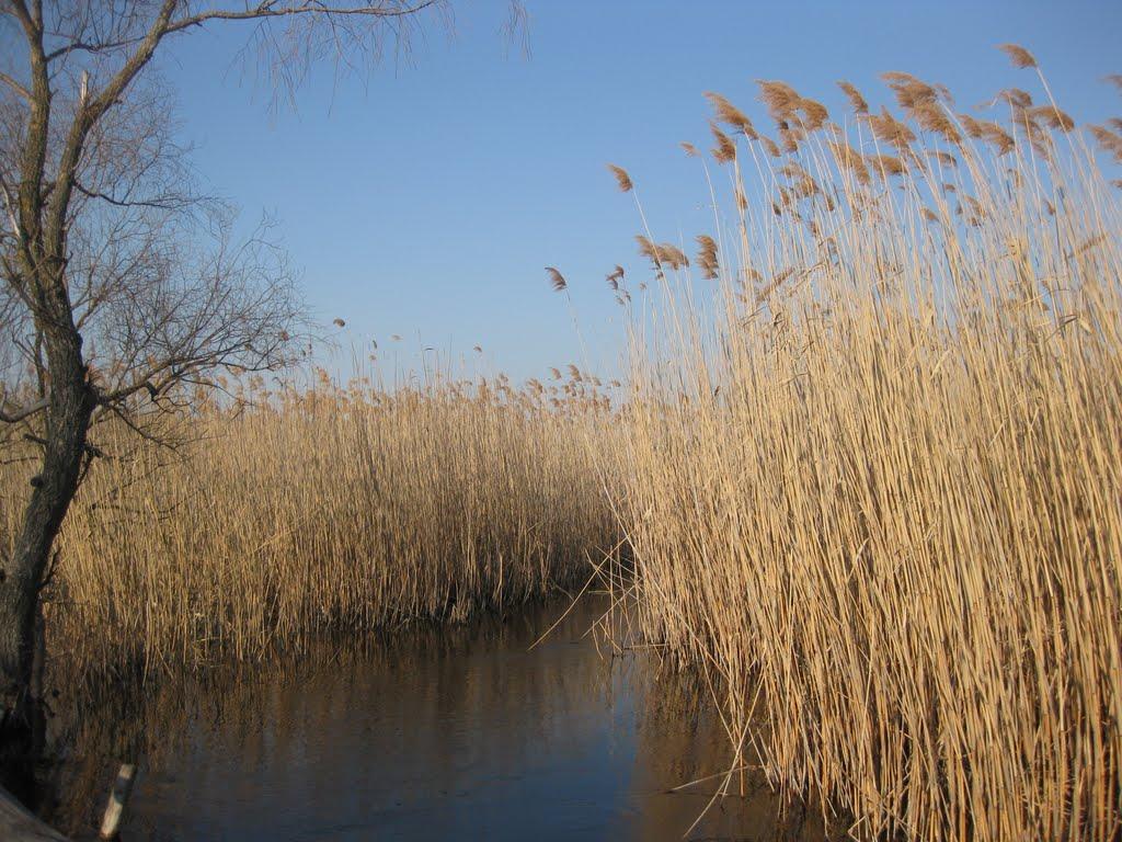 Михнівка з panoramio.com - Михновка