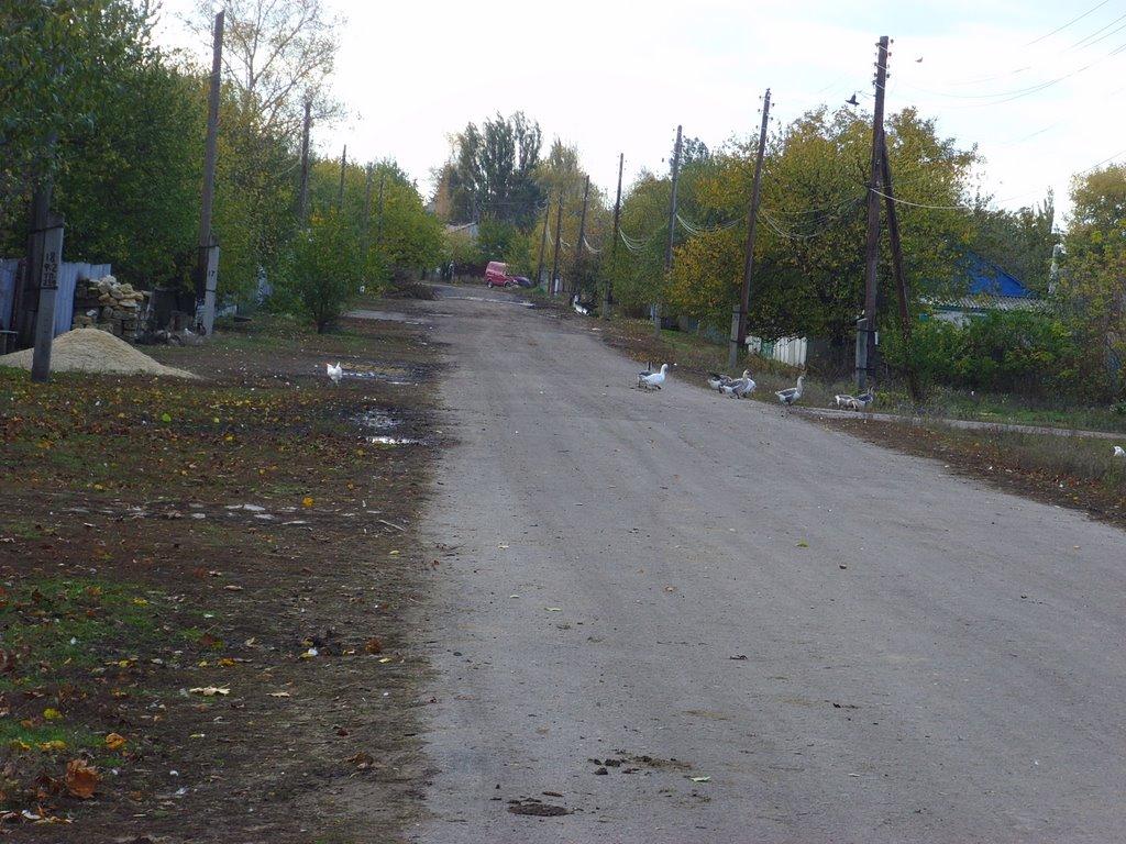 Картамиш з panoramio.com - Картамиш