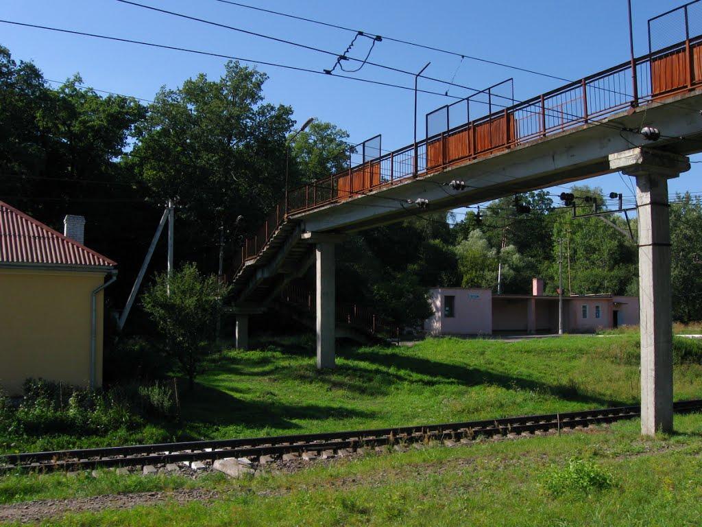 Басівка з panoramio.com - Басовка