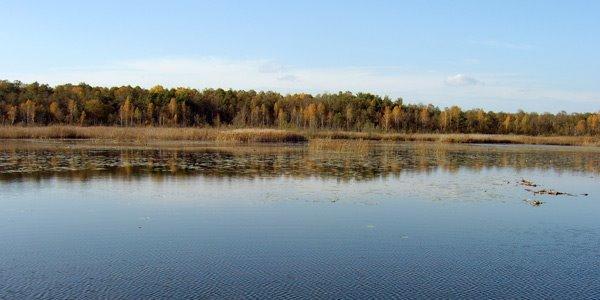 Сомин з panoramio.com - Сомин