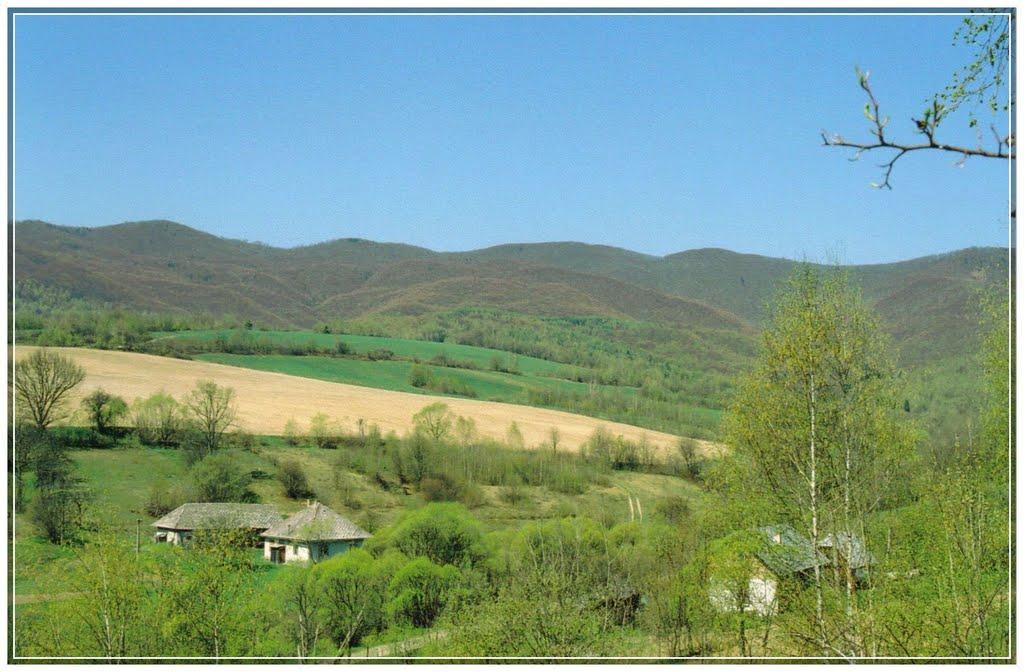 Стричава з panoramio.com - Strychava