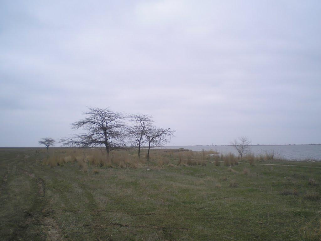 Приморське з panoramio.com - Приморське