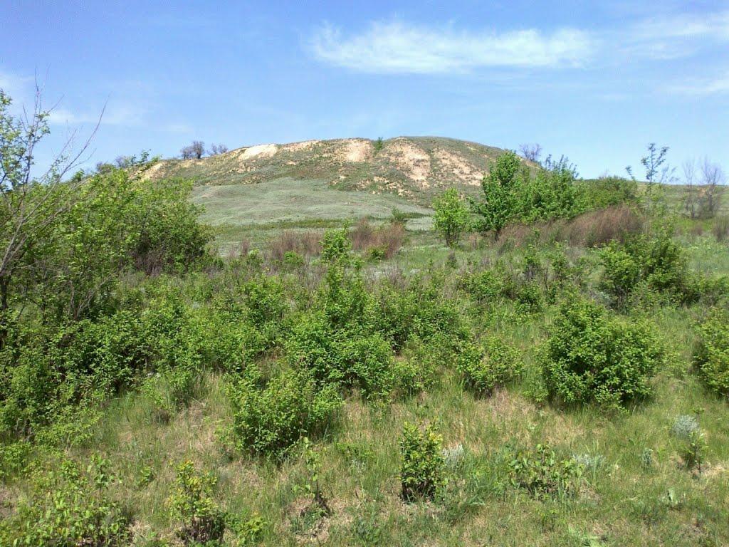 Зайцеве з panoramio.com - Зайцево