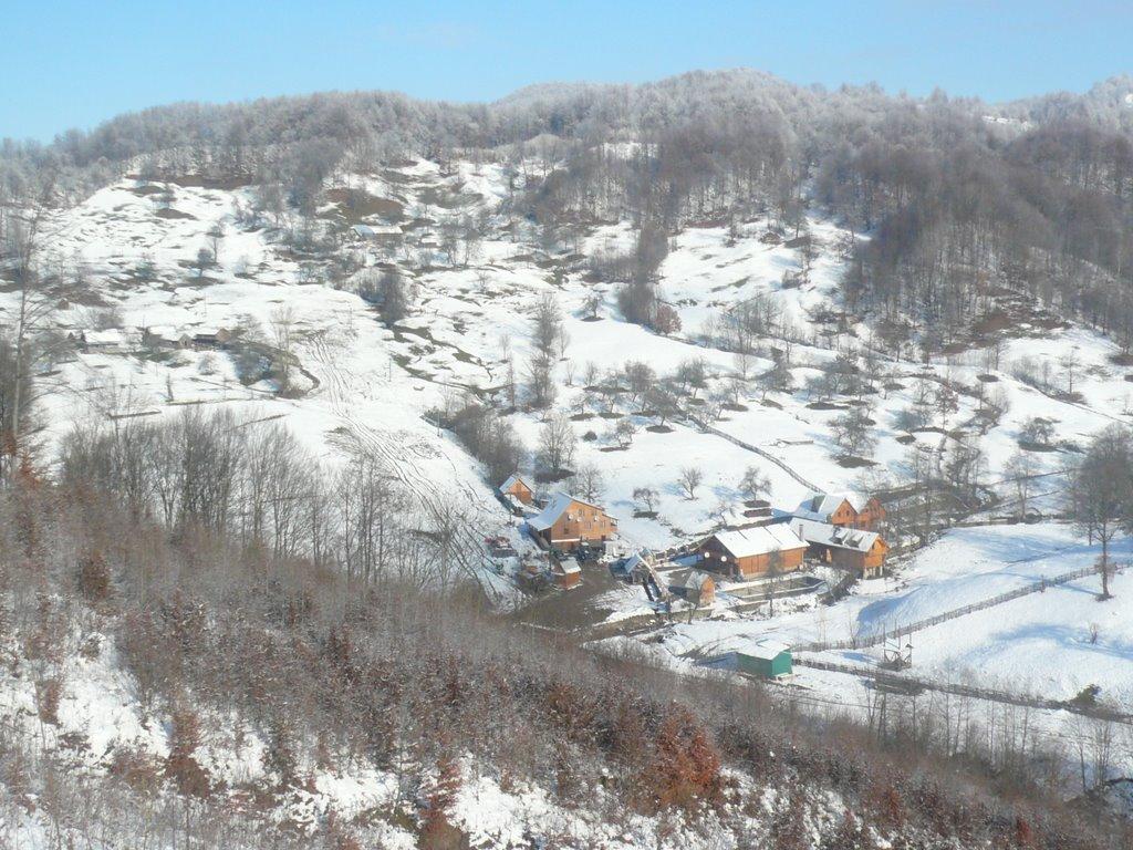 Калини з panoramio.com - Kalyny