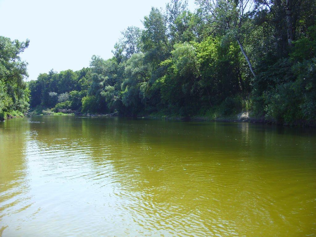 Юрки з panoramio.com - Юрки