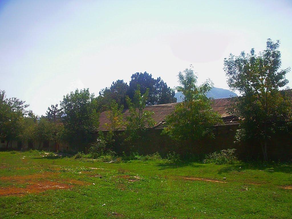 Плотинне з panoramio.com - Плотинное
