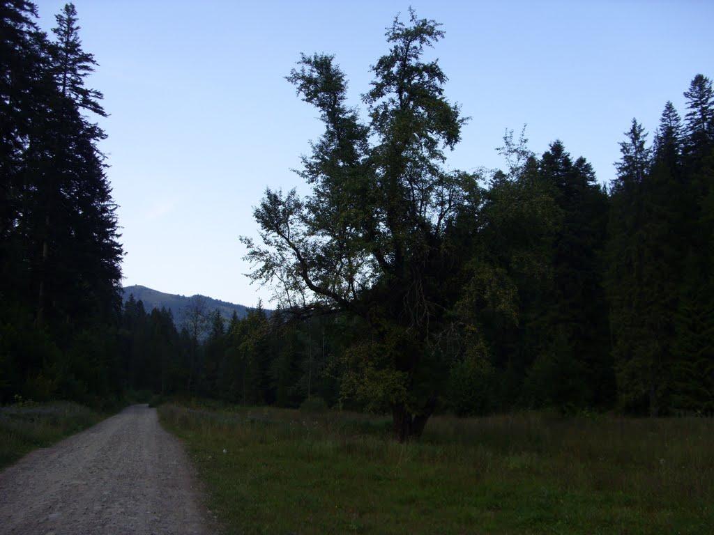 Фальків з panoramio.com (ч.2) - Фальків