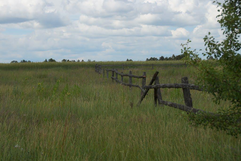 Рейментарівка з panoramio.com - Reymentarivka