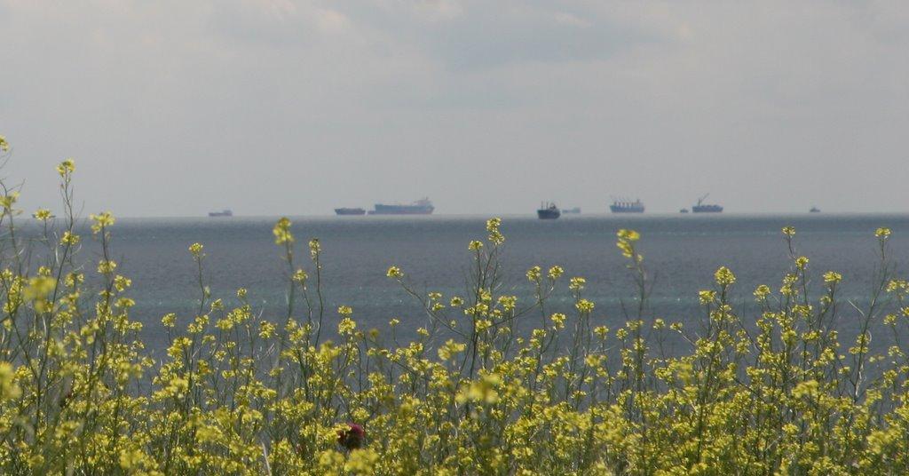 Челядінове з panoramio.com - Chelyadinove