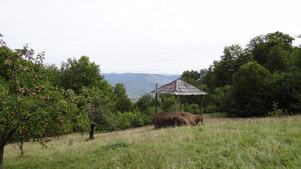 Великий Бичків з panoramio.com - Великий Бичків