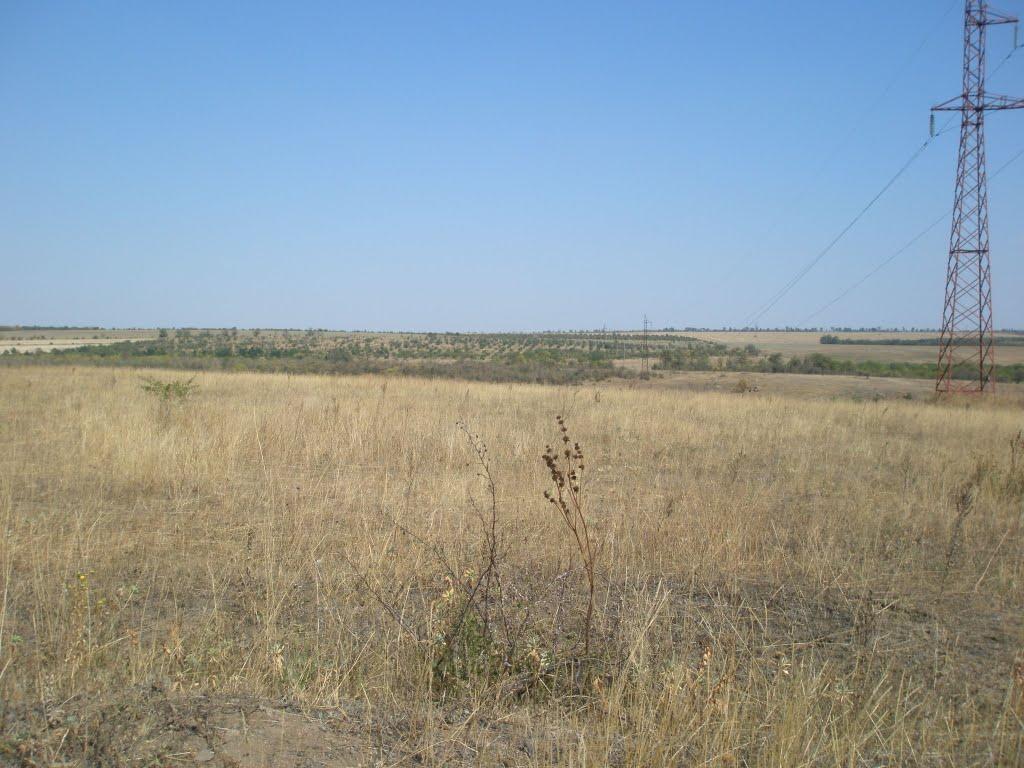 Синюхин Брід з panoramio.com - Синюхин Брід