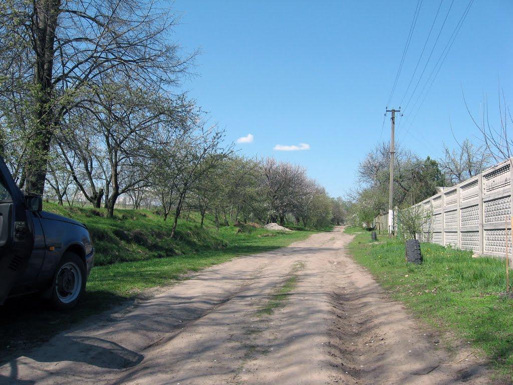 Білецьківка з panoramio.com - Biletskivka