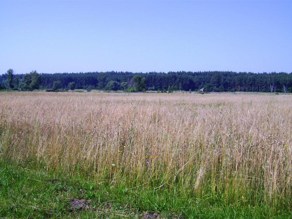 Баланди з panoramio.com - Баланды