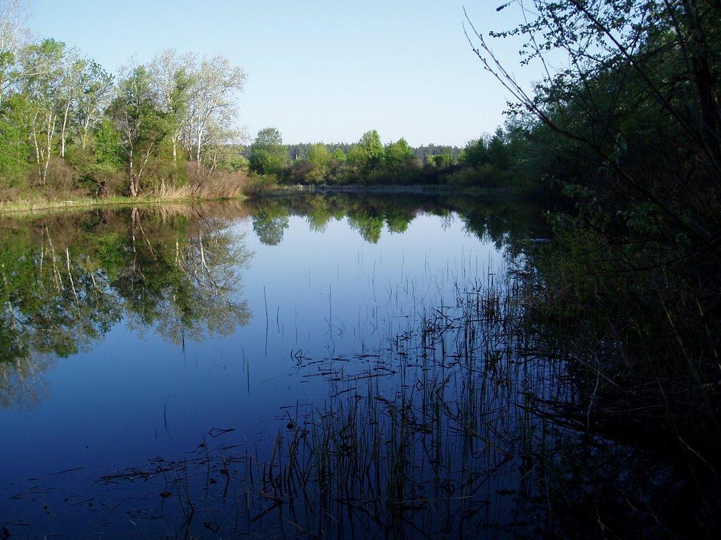 Крамаренки з panoramio.com - Kramarenky