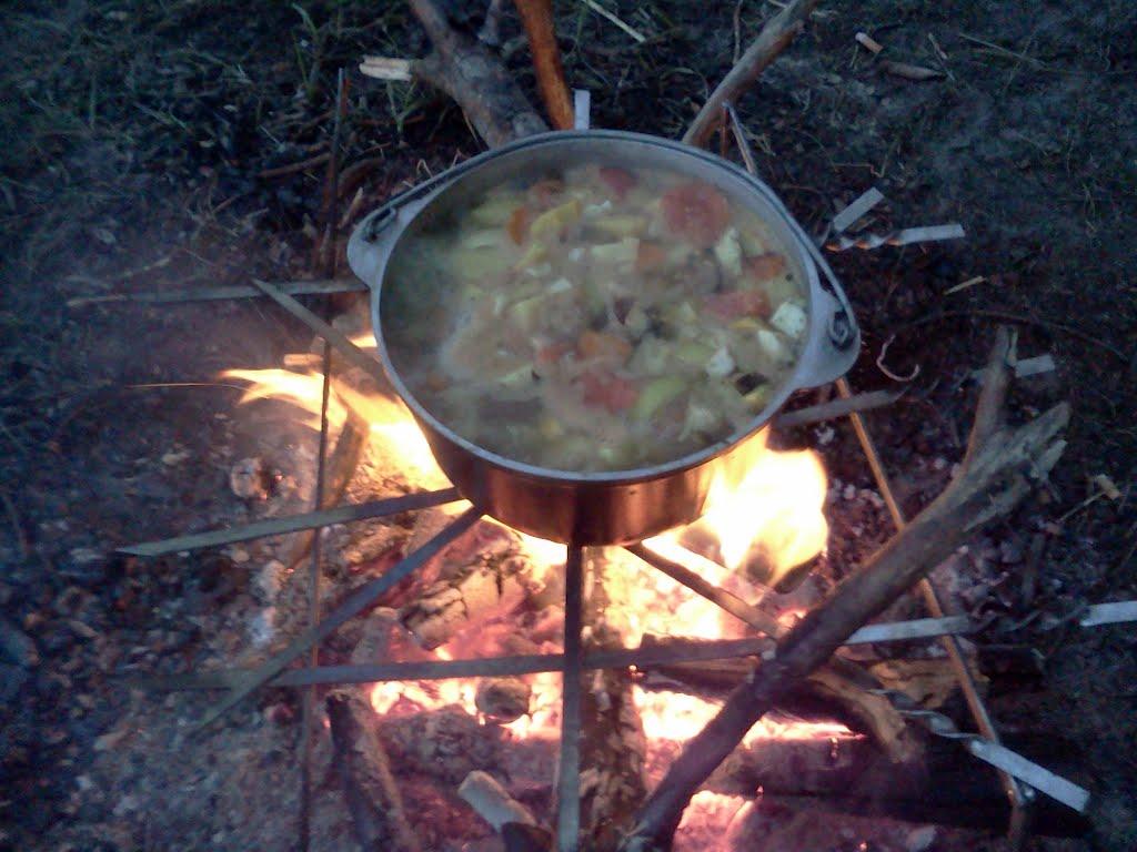 Пії з panoramio.com - Пии