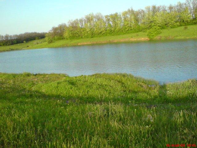 Дмитрівка з panoramio.com - Дмитрівка