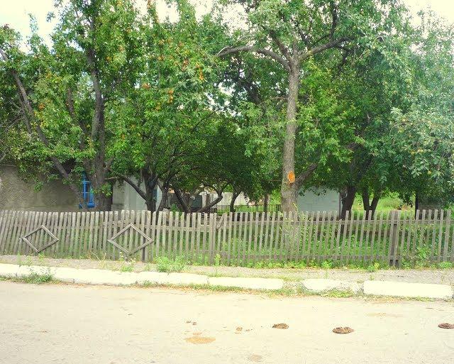 Пролетарське з panoramio.com - Пролетарское
