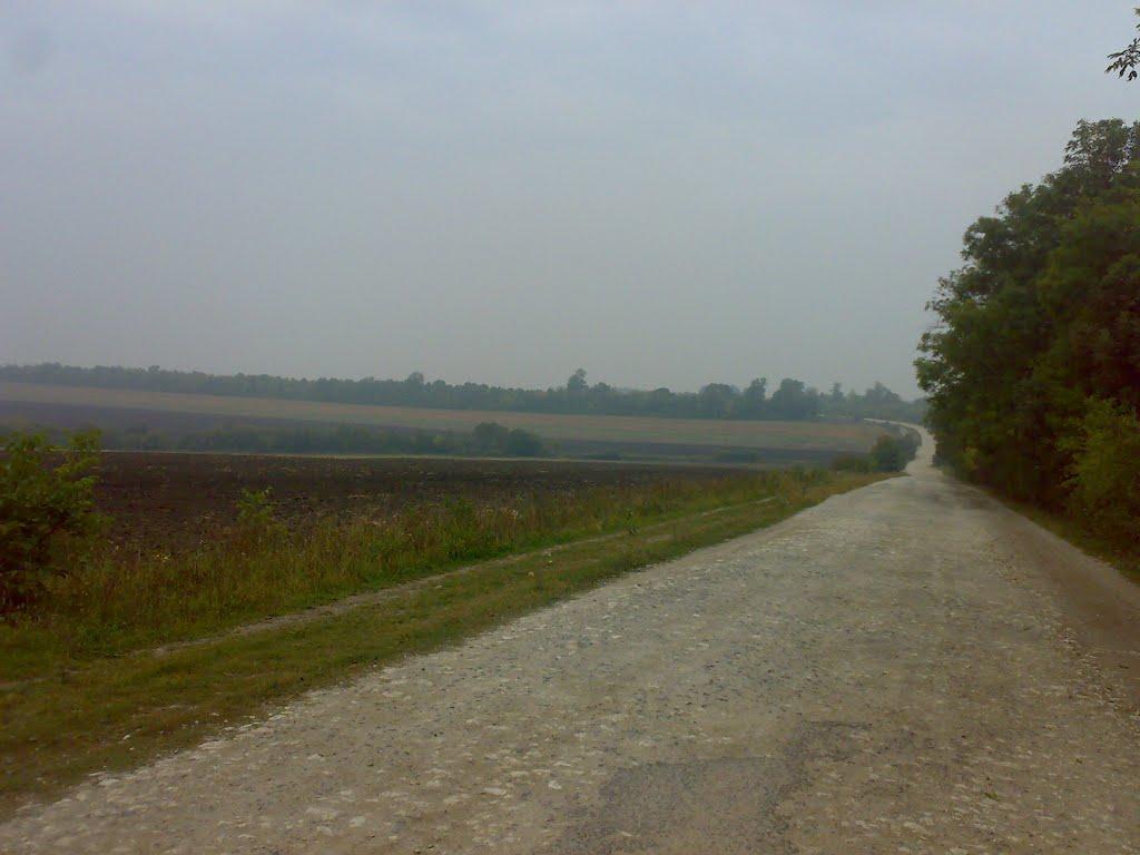 Війтівці з panoramio.com - Войтовцы