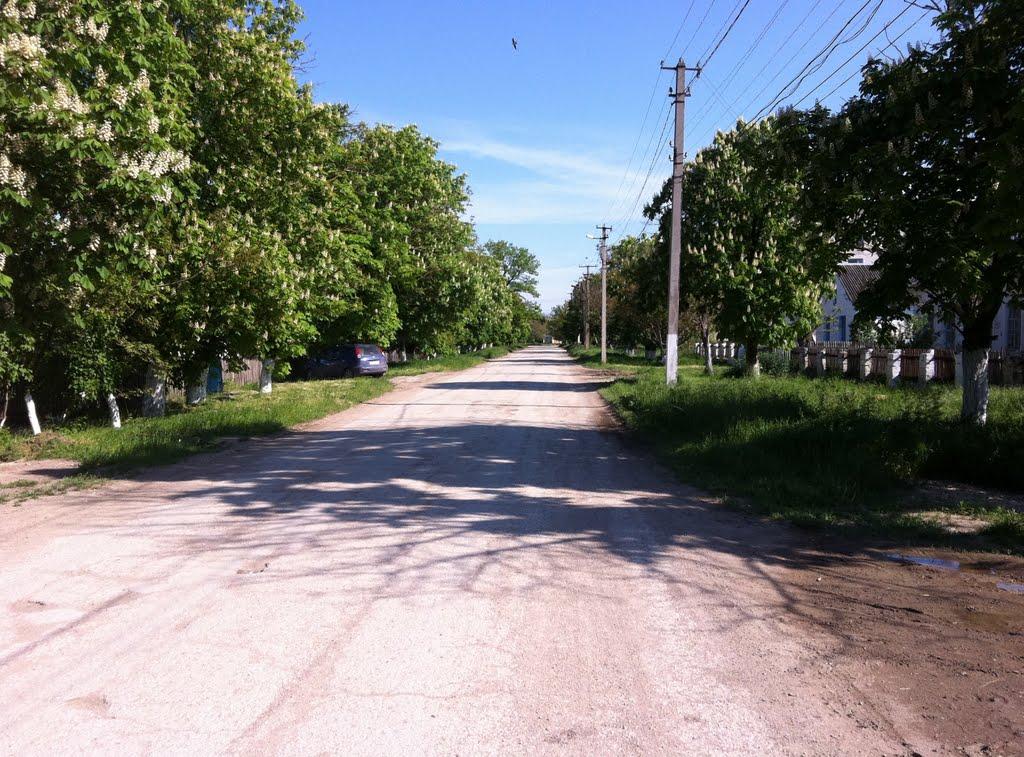 Жемчужина з panoramio.com - Жемчужина