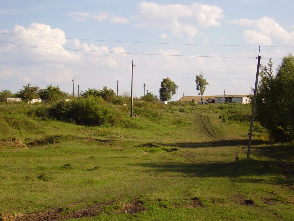 Чеснівка з panoramio.com - Чеснівка