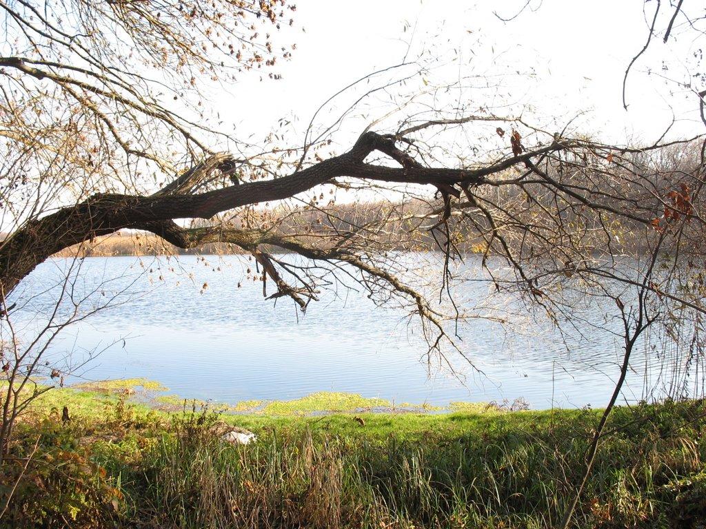 Усть-Лип'янка з panoramio.com - Усть-Лип'янка