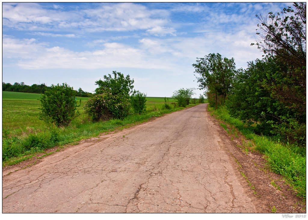 Чорногірка з panoramio.com - Чорногірка