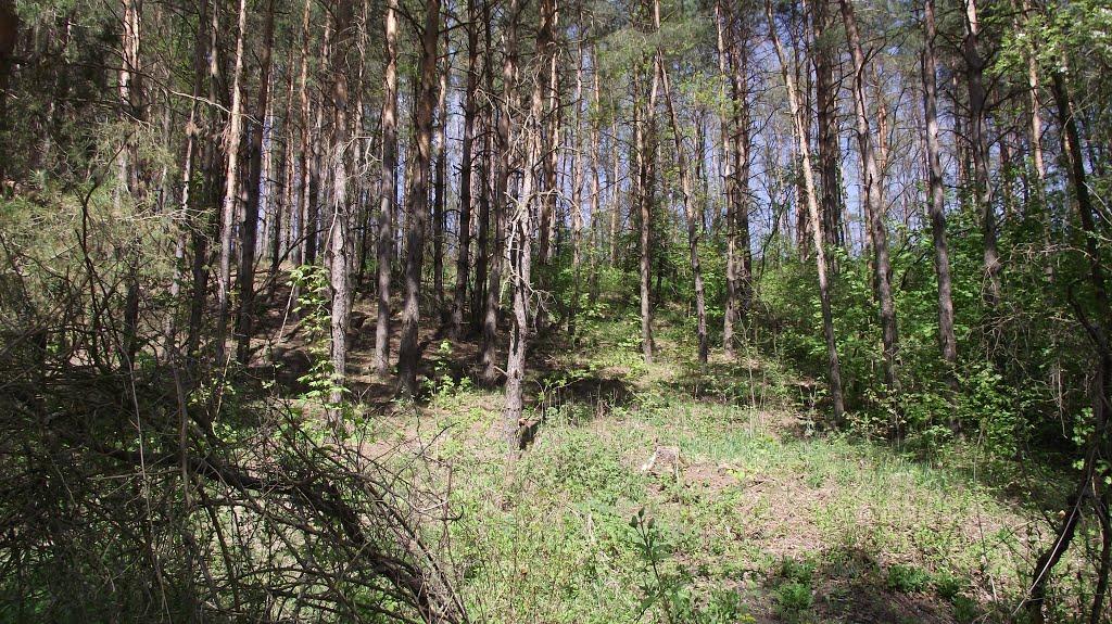 Юшки з panoramio.com