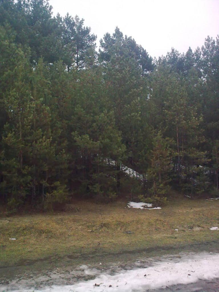 Влащинці з panoramio.com - Влащинцы