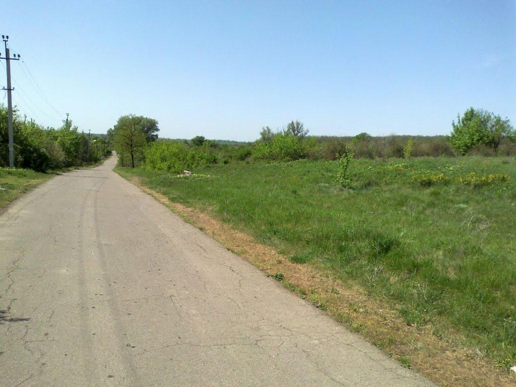 Зайцеве з panoramio.com - Зайцеве