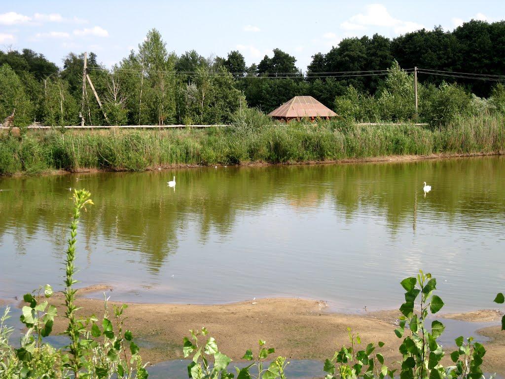 Вільхове з panoramio.com - Вільхове