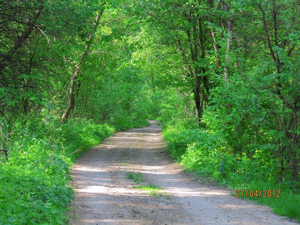 Малинове з panoramio.com - Malynove