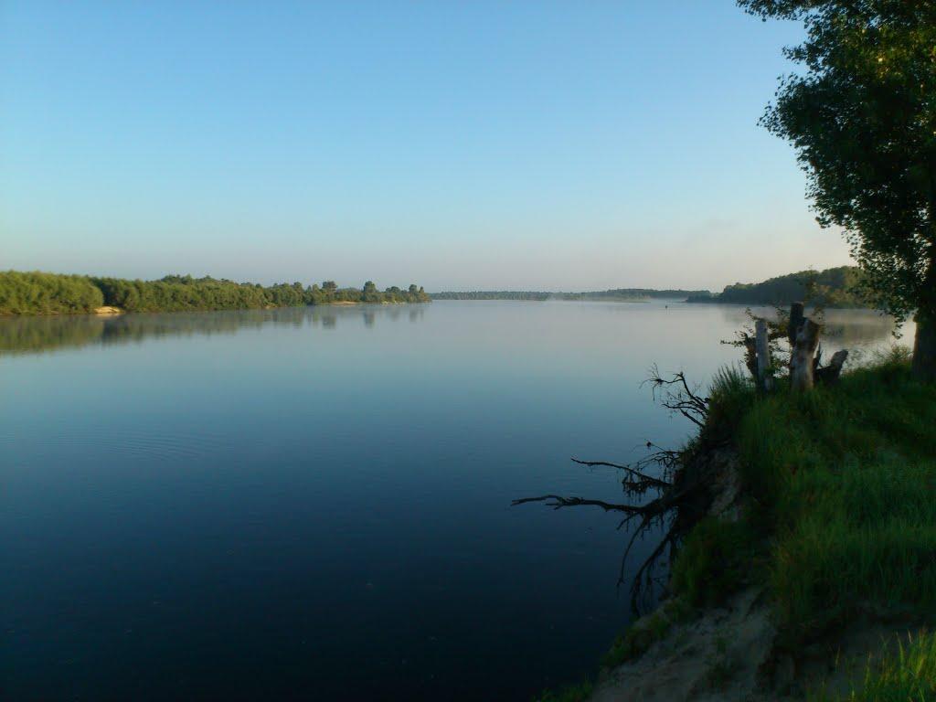 Миси з panoramio.com - Mysy